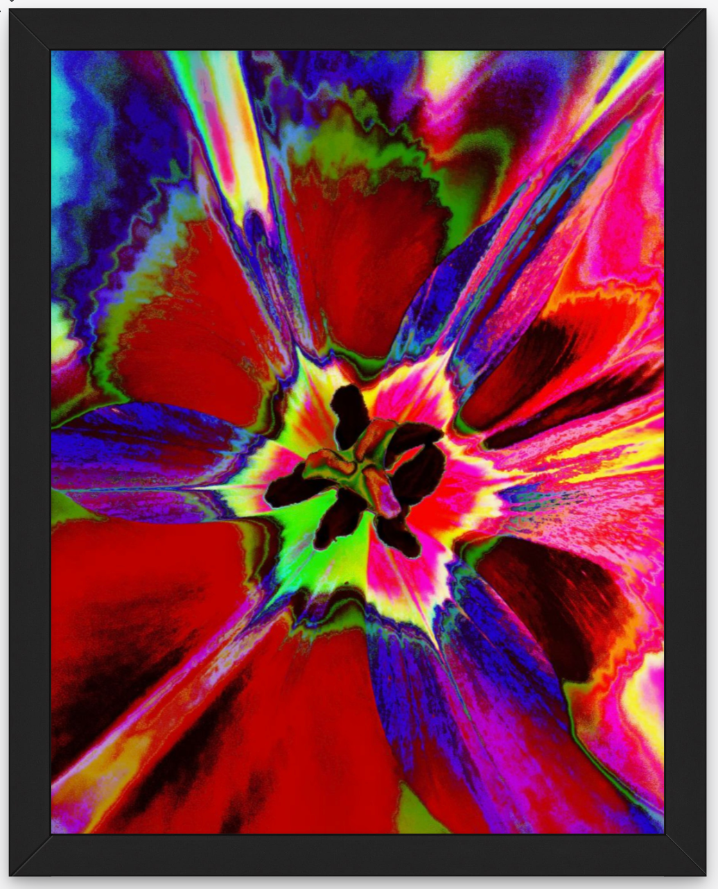 Looking Inward Abstract Look Inward (Abstract Tulip) – Laura Kingsbury Jones