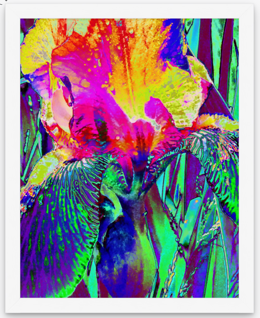 i-ris(e) – Laura Kingsbury Jones